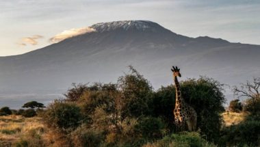 Alain St. Ange Speaks at Routes Africa in Mombasa, Kenya - TRAVELINDEX
