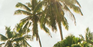 COVID-19 Situation Analysis and Overview in Seychelles - TRAVELINDEX