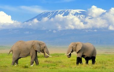 Kenya Tourism Exceeding Global and Regional Levels in 2018 - VisitKenya.com and Travelindex