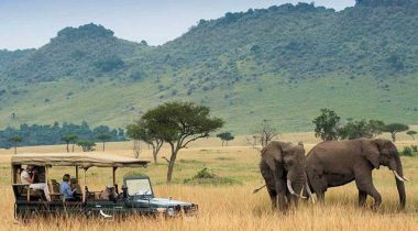 Kenya’s Tourism Ministry Launches Virtual Safari Livestream - TRAVELINDEX