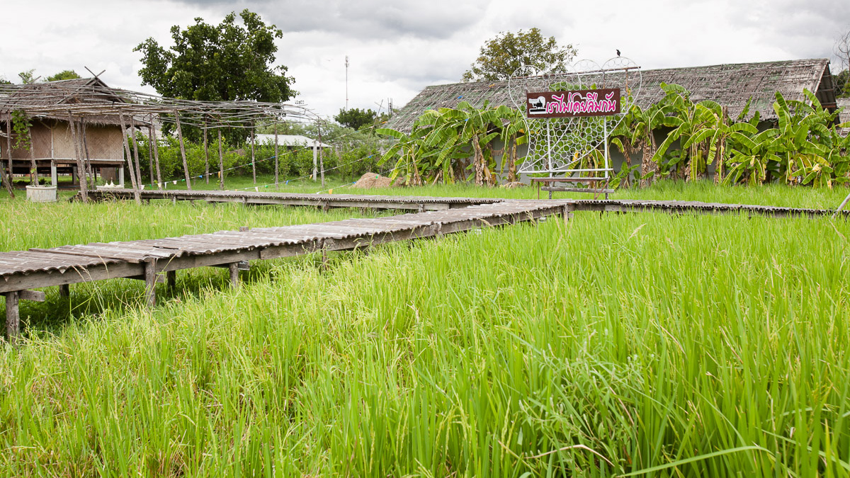 Local Thai Community-based Tourism attractions near Bangkok