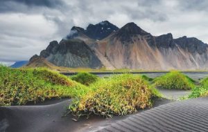 Travel Advisors Stress Importance of Health Certificates for Destinations-TRAVELINDEX Travel Advisors Stress Importance of Health Certificates for Destinations