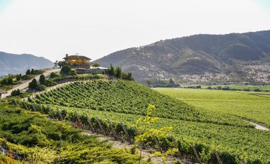 UNWTO, Wine Tourism Conference Celebrates Rural Transformation and Jobs - TRAVELINDEX