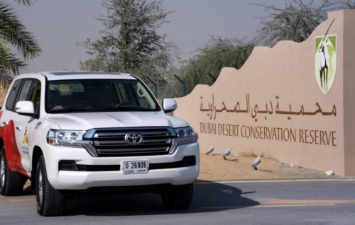 TRAVEL NEWS HUB - Dubai Desert Conservation Reserve releases first annual report