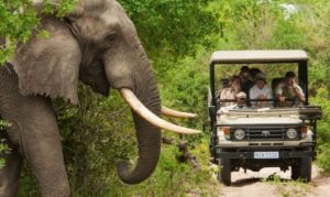 African Destinations Meet to Plan Sustainable Future for Tourism-TRAVELINDEX African Destinations Meet to Plan Sustainable Future for Tourism