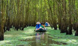 Mekong Innovative Startups in Tourism (MIST) Calls for Applications
