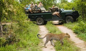 UNWTO Adapts Agenda for Africa to Accelerate Tourism Recovery-TRAVELINDEX UNWTO Adapts Agenda for Africa to Accelerate Tourism Recovery