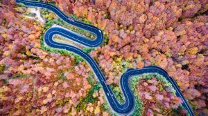 UNWTO Launches a Call for Action for Tourism’s COVID-19 Mitigation and Recovery-TRAVELINDEX UNWTO Launches Call for Action for COVID-19 Mitigation and Recovery