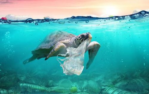 UNWTO Tourism Sector to Continue Taking Action on Plastic Pollution-TRAVELINDEX UNWTO: Tourism Sector to Continue Taking Action on Plastic Pollution