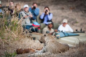 Urgent Appeal to International Community to Support African Travel and Tourism Sector