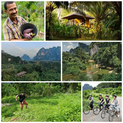 Anurak Lodge in Thailand Wins PATA Grand Award for Sustainability - TRAVELINDEX