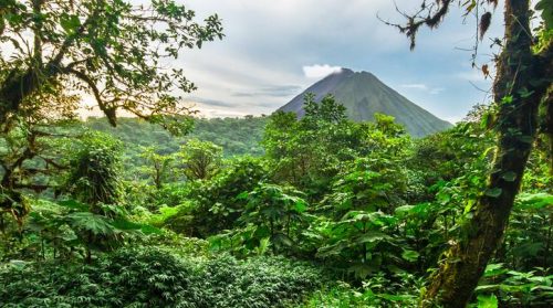 ABTA Launches Tourism for Good Report, Sustainability can be at the Heart of Recovery-TRAVELINDEX ABTA Launches Tourism for Good Report, Sustainability can be at the Heart of Recovery