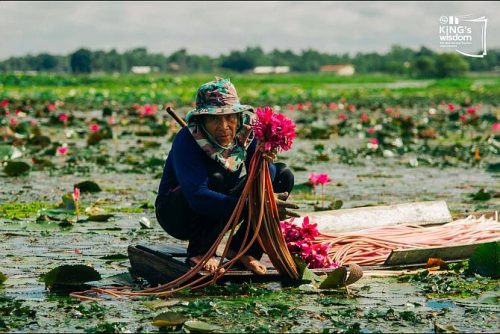 visitthailand-udon-thani-esaan-isan-thailand-017 Udon Thani – Esaan Style Travel
