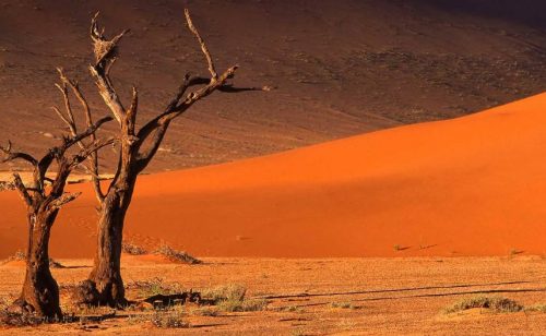 UNWTO in Namibia - First Visit to African Member State Since Start of the Pandemic-TOURISMAFRICA-TRAVELINDEX UNWTO in Namibia – First Visit to African Member State Since Start of the Pandemic