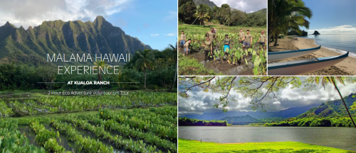 Outrigger Eco-Adventure Invites Travellers to Malama Hawaii - TRAVELINDEX