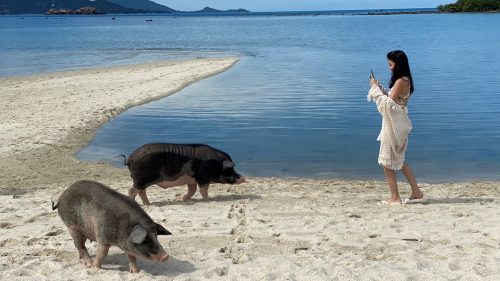 Travelers Discover Thailand's Bay of Pigs - TRAVELINDEX