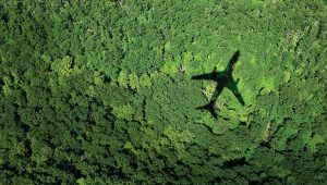 GSTC Partners with Sustainable First-TRAVELINDEX GSTC Partners with Sustainable First