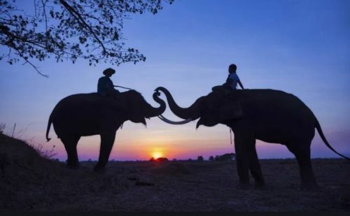 PATA Gold Awards 2021 Open for Submissions-TRAVELINDEX PATA Gold Awards 2021 Open for Submissions