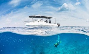 alain-saint-ange-tourism-report-seychelles-task-force-africa-tourism Saint Ange Tourism Report – 17th April 2020