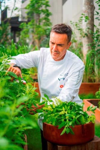 Hyatt Regency Koh Samui Steps Up as Fine Dining Venue - TRAVELINDEX
