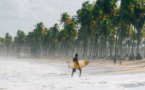 Africa Tourism Leaders Identify Investments as Key to Sustainable Recovery-TRAVELINDEX Africa Tourism Leaders Identify Investments as Key to Sustainable Recovery