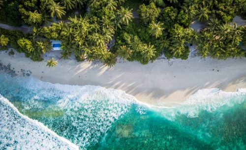WTTC Launches Groundbreaking Net Zero Roadmap for Tourism-TRAVELINDEX WTTC Launches Groundbreaking Net Zero Roadmap for Tourism