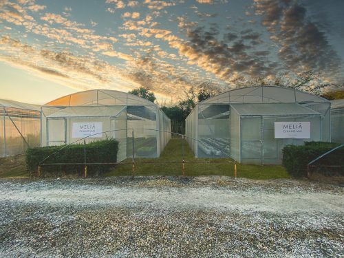 New Urban Hotel Opens Organic Farm with Michelin-Starred Chef - TRAVELINDEX