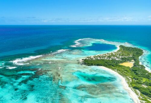 WTTC Calls for Greater Coordination Between Caribbean Governments - TRAVELINDEX