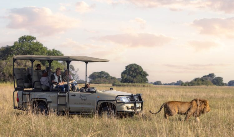 Shearzone Safaris Expands its Portfolio in Zambia and Rebrands - TRAVELINDEX
